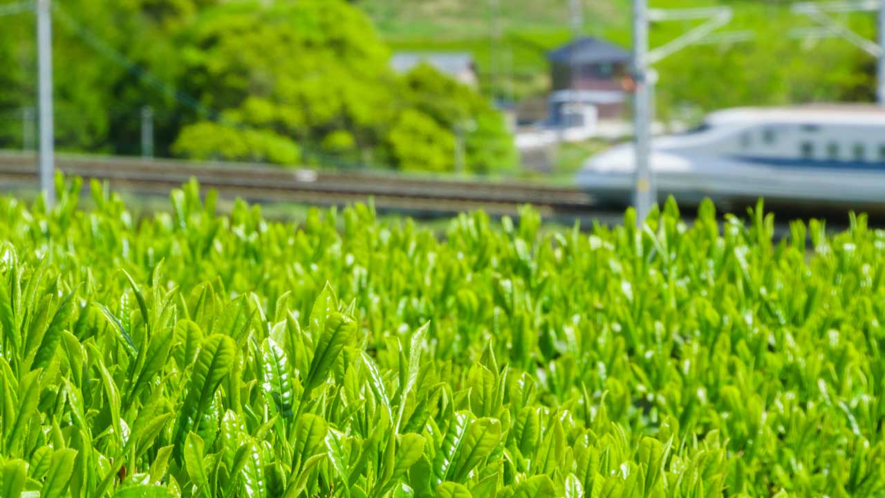 静岡での転職を成功させるコツ