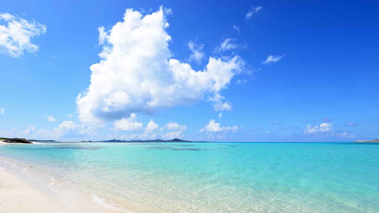 沖縄エリアの特徴