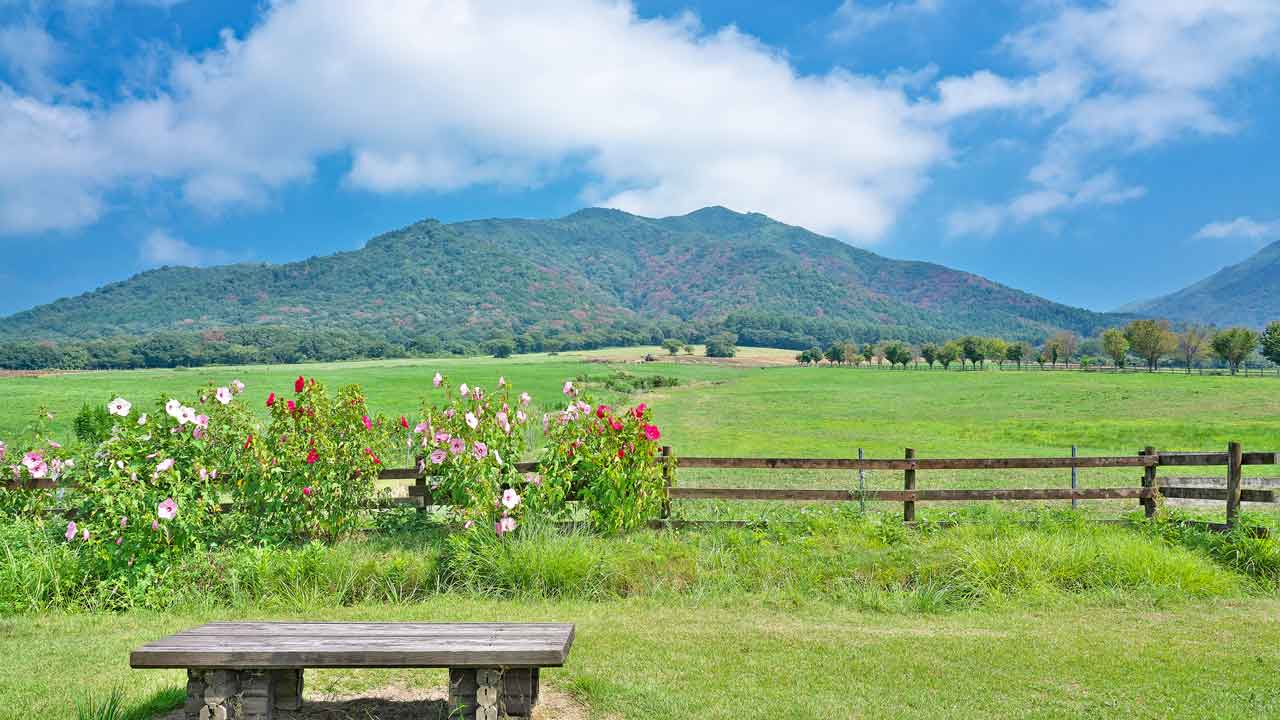 岡山で転職するメリットとデメリット