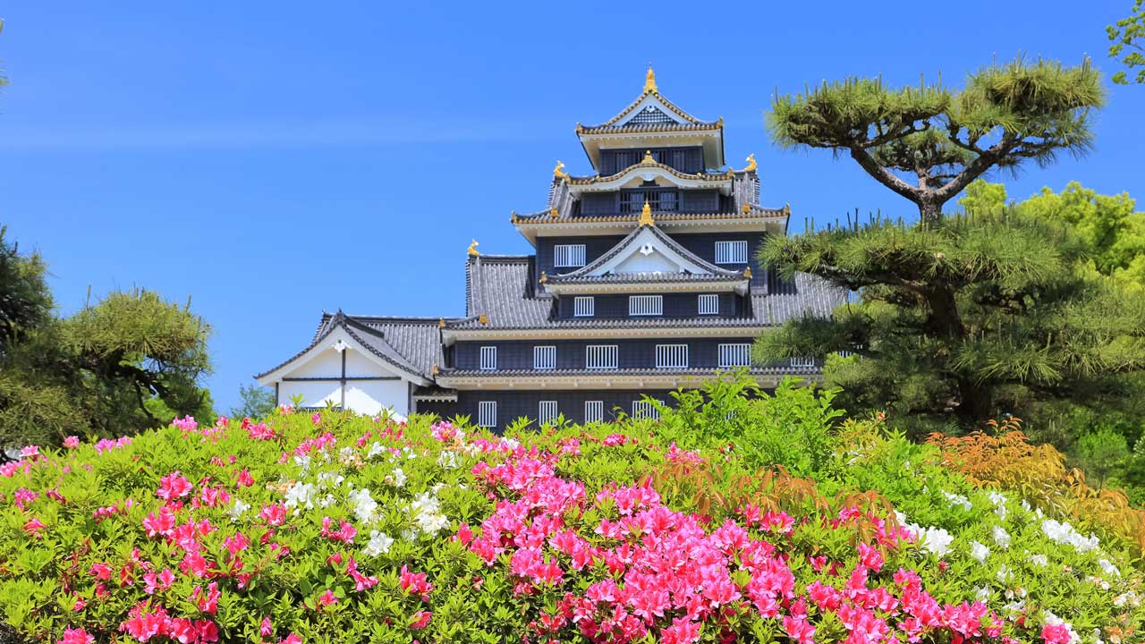 岡山城の画像