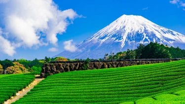 静岡の転職で成功するには？転職活動のコツとおすすめ転職サイト